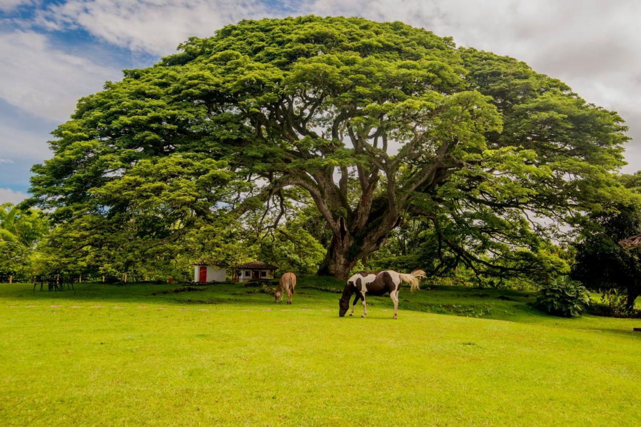 فيلا كويمبايافي Hacienda El Saman المظهر الخارجي الصورة